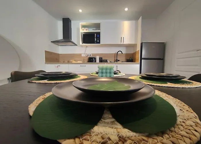 Appartement Jungle Climatise Centre Ville
