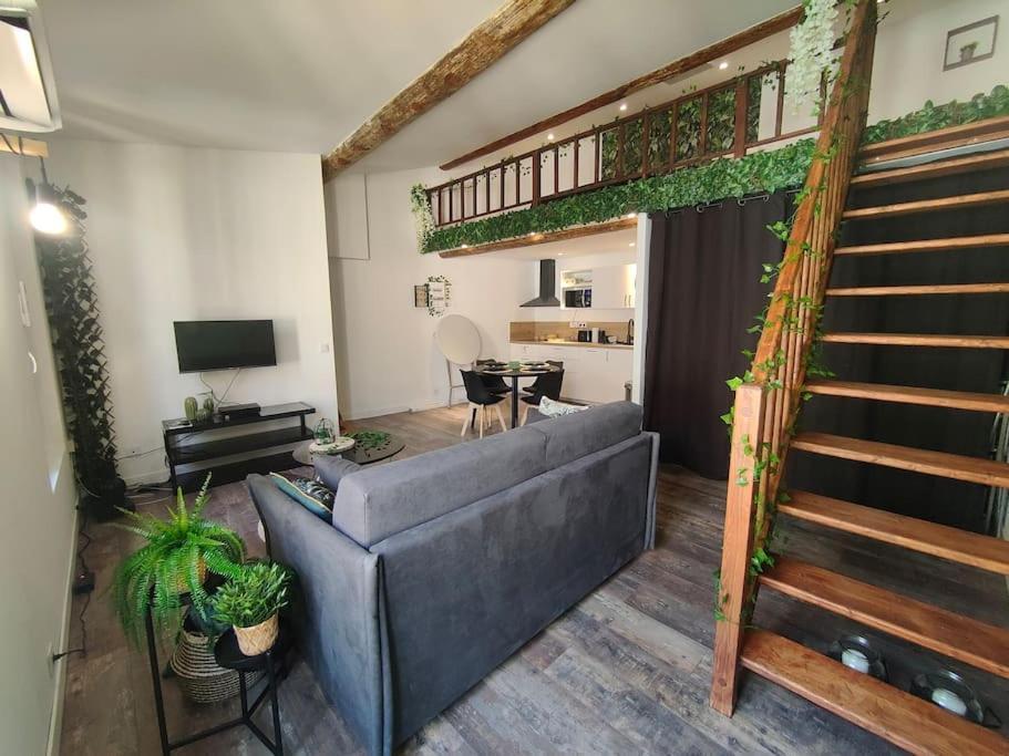 Appartement Jungle Climatise Centre *