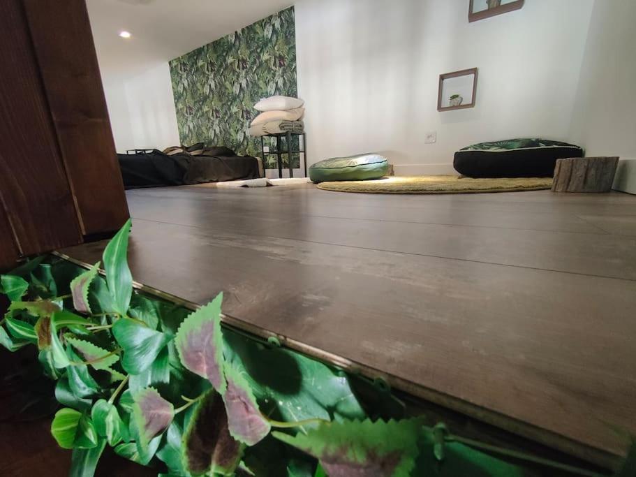 Jungle Climatise Centre Appartement Nîmes
