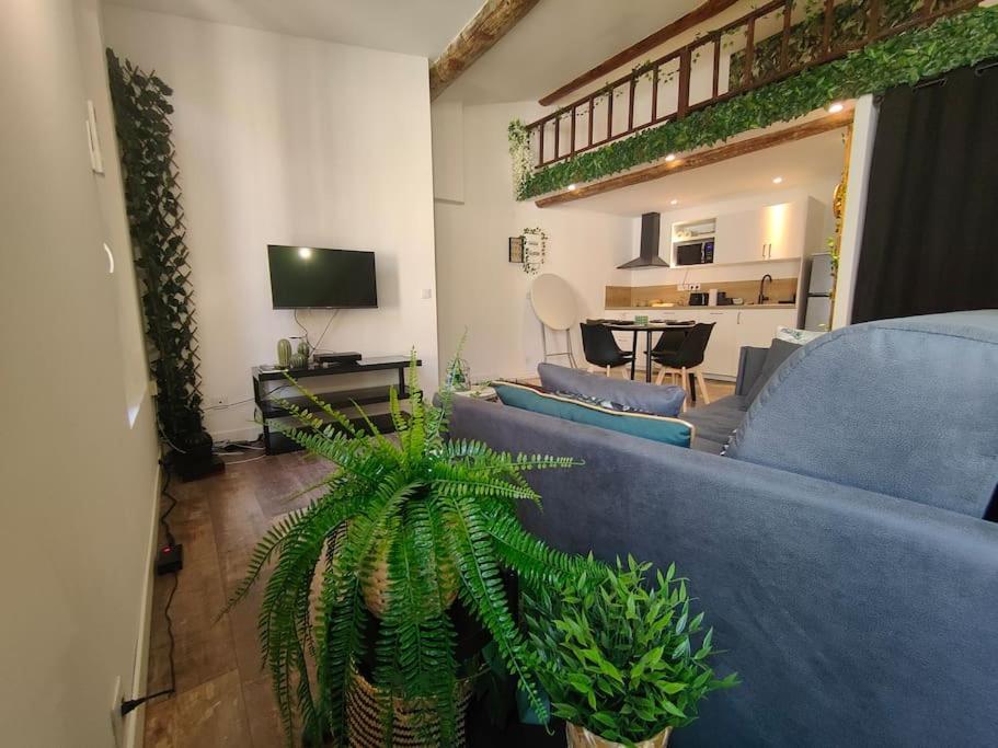 Jungle Climatise Centre Appartement Nîmes