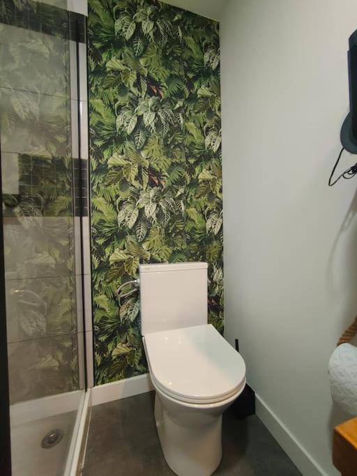 Jungle Climatise Centre Appartement Nîmes
