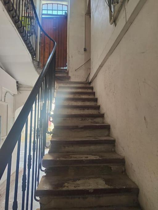 Jungle Climatise Centre Appartement Nîmes