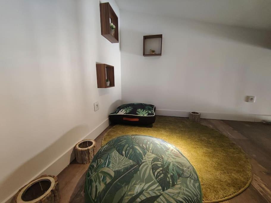 Jungle Climatise Centre Nîmes