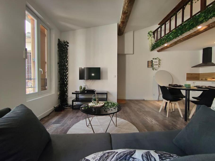 Jungle Climatise Centre Appartement