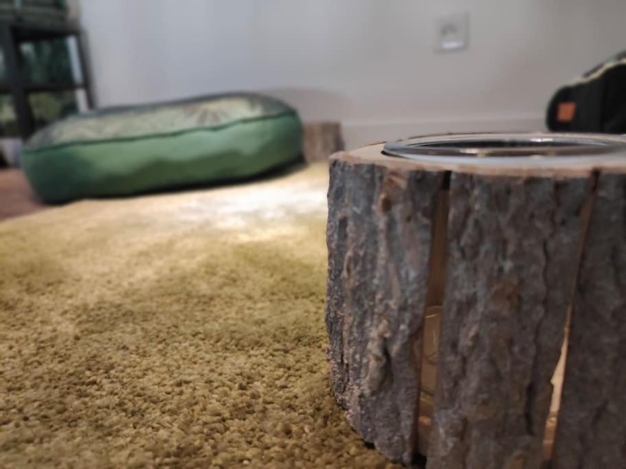Jungle Climatise Centre Appartement *