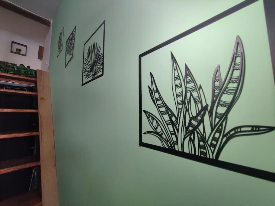 Jungle Climatise Centre Appartement Nîmes